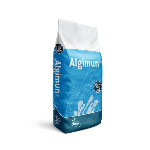 Algimun