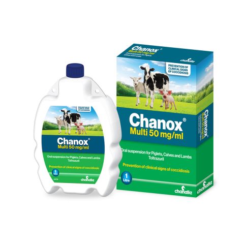 Chanox Multi